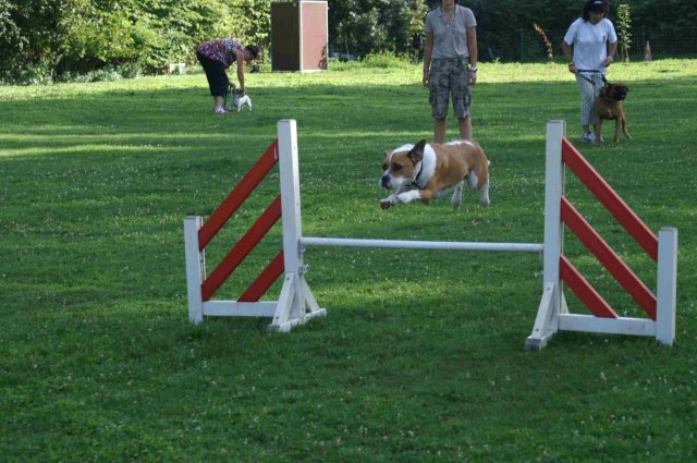 agility 2011-08